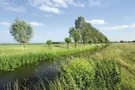 Fascia di rispetto idraulica